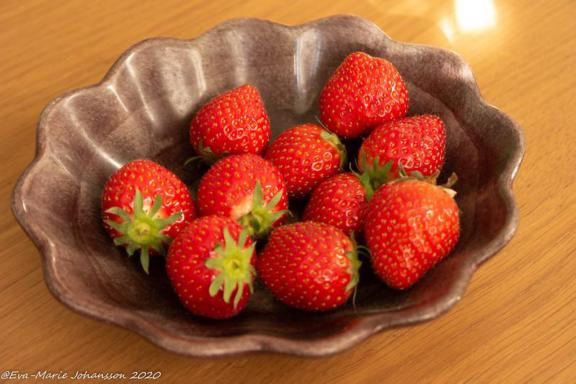 FSC147 strawberries photograph 286.jpg with 10 published target points