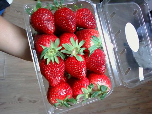 FSC147 strawberries photograph 5828.jpg with 12 published target points