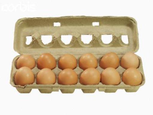 FSC147 eggs photograph 5915.jpg with 12 published target points