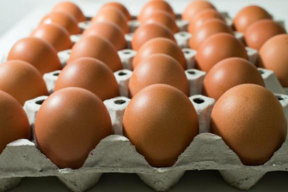 FSC147 eggs photograph 5940.jpg with 27 published target points
