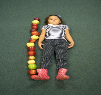 FSC147 apples photograph 6264.jpg with 16 published target points