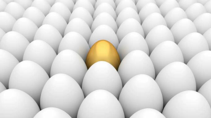 FSC147 eggs photograph 7128.jpg with 49 published target points