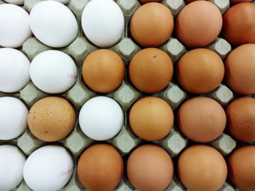 FSC147 eggs photograph 7145.jpg with 24 published target points