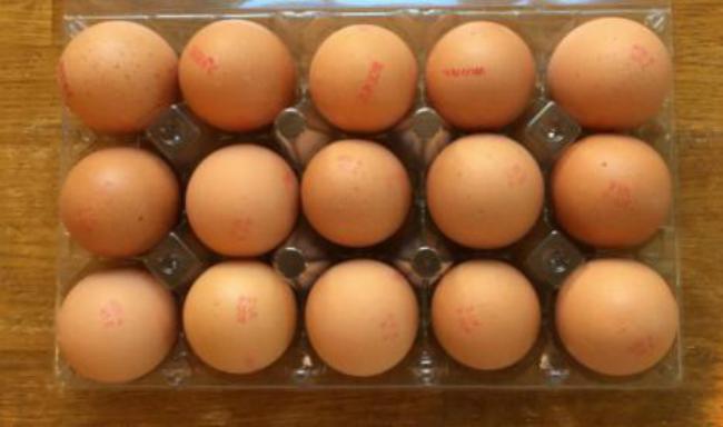 FSC147 eggs photograph 7580.jpg with 15 published target points